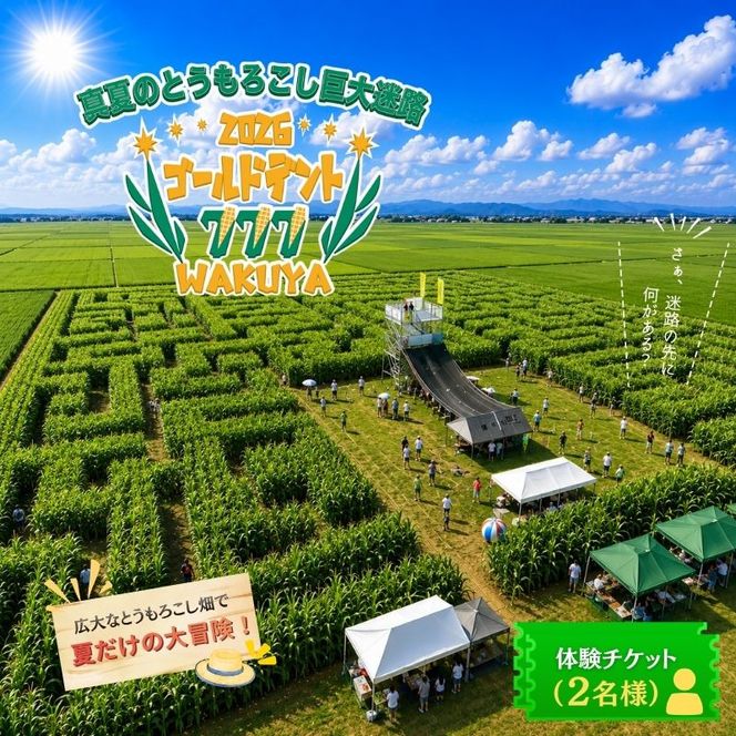 真夏のとうもろこし巨大迷路 2026 ゴールドデント777 WAKUYA｜とうもろこし コーン 迷路 とうもろこし畑 トウモロコシ 涌谷町 デントコーン 巨大迷路 冒険 レジャー 宝探し 真夏 とうもろこし コーン トウモロコシ【saito006】