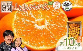みかん 【2026年11月中旬より順次配送】10kg 訳アリ 山北みかん 露地(Ｓ～Ｍ) Ｂ品 高橋農園 訳あり - 果物 フルーツ ミカン 蜜柑 柑橘 家庭用 自宅用 新鮮 農家直送 露地 th-0032