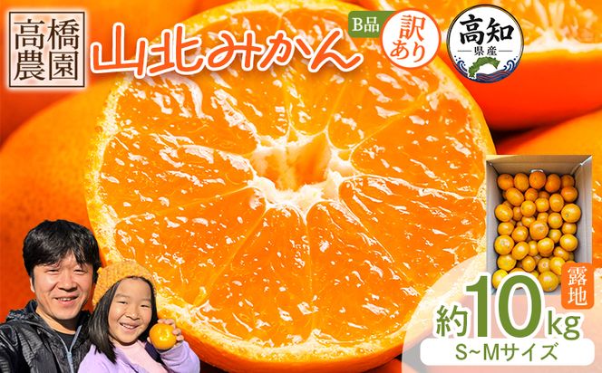 みかん 【2026年11月中旬より順次配送】10kg 訳アリ 山北みかん 露地(Ｓ～Ｍ) Ｂ品 高橋農園 訳あり - 果物 フルーツ ミカン 蜜柑 柑橘 家庭用 自宅用 新鮮 農家直送 露地 th-0032