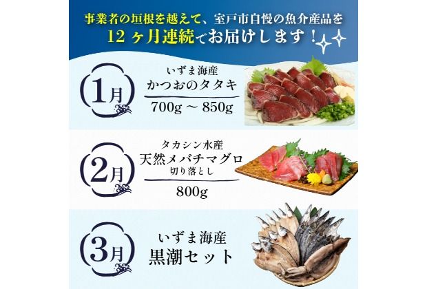 【定期便 12回】室戸まるごと定期便 海鮮コース 海鮮 魚介 かつお 本マグロ ネギトロ 伊勢海老 鰹 かつおのたたき マグロ 鮪 イセエビ 魚介類 海の幸 海鮮定期便 高知県 室戸市
