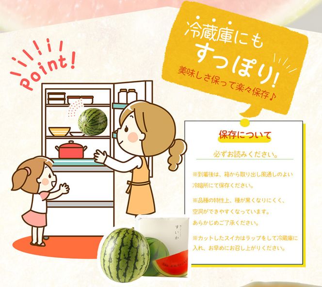 紀州 和歌山産 小玉スイカ 「ひとりじめ」  2玉 合計約3.6kg