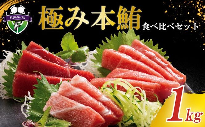極みシリーズ マグロ 食べ比べセット 赤身 中とろ 大とろ 合計約1kg 詰合せ 本鮪 本マグロ 食べ比べ 大トロ 中トロ 定型柵 刺身 まぐろ 解凍 鮪 漬け マグロ ユッケ 海鮮 魚 魚類 ふるさと納税 静岡県 藤枝市