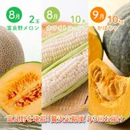 2026年夏～発送 富良野を堪能！贅沢 定期便 年3回  北海道 富良野産 とうもろこし メロン かぼちゃ 野菜 ふらの とうきび