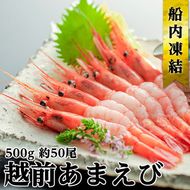 甘えび 子なし 500g 約50尾 越前甘えび えび 海老 刺身 冷凍 魚介 魚介類 海鮮 高評価