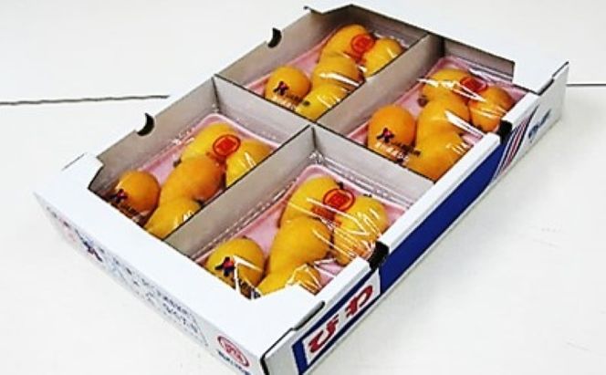 初夏の果実 なつたより（びわ）約1kg 果物類 フルーツ 枇杷 