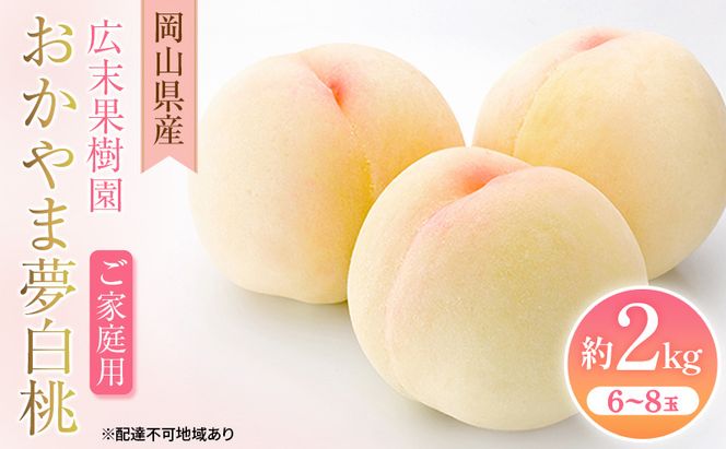 【2026年先行予約】 桃 岡山県産 ご家庭用 おかやま夢 白桃 約2kg(6～8玉)《2026年7月中旬-8月上旬頃出荷》 白桃 岡山 はくとう スイーツ フルーツ 果物 先行予約 数量限定 期間限定 岡山 里庄町 モモ もも 桃