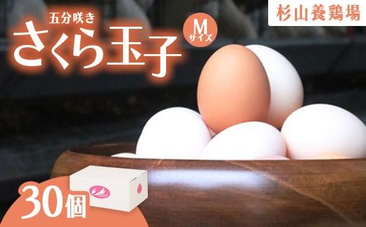 yÉaszY{炿񂪎Y񂾍F̂ʎq̌ܕ炫30