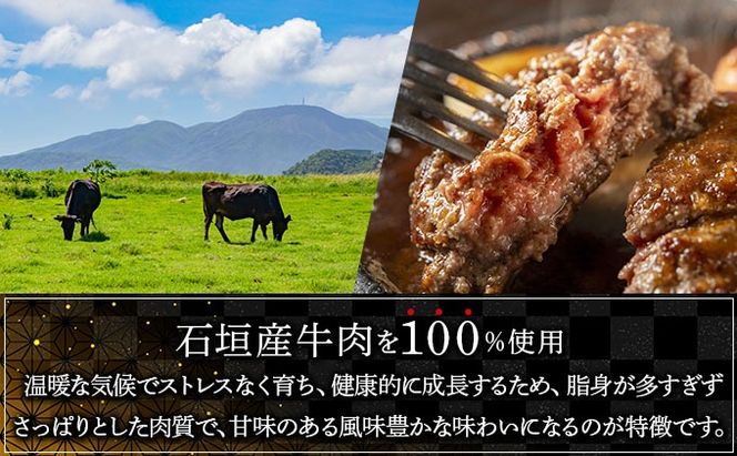 【2026年3月発送】石垣産経産牛ハンバーグ150g×6/箱