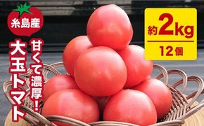 【甘くて濃厚】大玉 トマト 2kg 糸島産《糸島》 【大櫛トマトファーム】 [AQH001] 糸島野菜 野菜 とまと サラダ ジャム シャーベット かれん 彩り