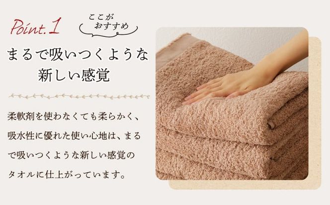 099H3321 MAISON BLANC バスタオル テラコッタ 5枚【タオル 泉州タオル 単色 吸水 普段使い 無地 シンプル 日用品 ふわふわ ふかふか 家族 ファミリー】