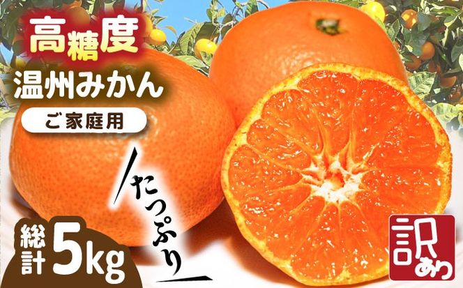 【2024年11月下旬〜発送】【高糖度】 温州みかん 約5kg（傷もの） / みかん 南島原市 / 南島原果物屋 [SCV014] 