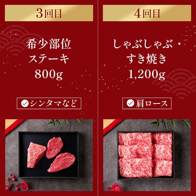 肉【定期便全6回】【和牛セレブ】能登牛 定期便「ファーストクラス」特選 しゃぶしゃぶ すき焼き 焼肉 ステーキ ギフト 石川県 能美市 172111_DB046