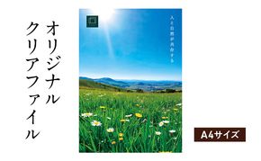 オリジナルクリアファイルをデザイン・入稿します（A4サイズ・オリジナルのデザイン）