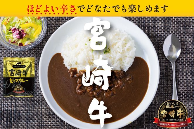 カレー 3回 定期便 レトルト 宮崎牛カレー 160g 12袋 総計36袋 [九州産商 宮崎県 日向市 452061182] 小分け ビーフカレー 宮崎 牛 常備食 保存食 中辛 宮崎牛 備蓄