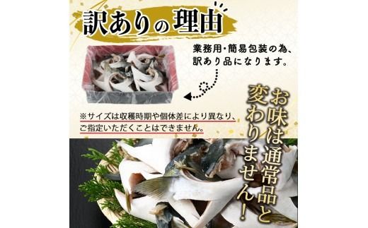 y啪sz󂠂聄  uJ} (3kg)啪Y Y Ԃ肩 u Ԃ  {Bu ς ܂ J}Ă Ⓚ 啪 syET002zyOYz