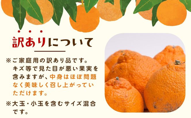 ［先行予約］家庭用 不知火5kg+250g（傷み補償分）［デコポンと同品種・人気の春みかん］［わけあり・訳あり］ CZ118