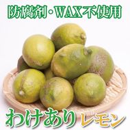 家庭用 レモン2.5kg+250g（傷み補償分）【和歌山有田産】【防腐剤・WAX不使用、安心の国産レモン】【わけあり・訳ありレモン】 ［IKE124］ 303446_BB90063