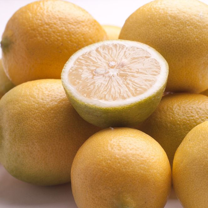 レモン2.5kg+250g（傷み補償分）【和歌山有田産】【防腐剤・WAX不使用、安心の国産レモン】［IKE127］ 303446_BB90062