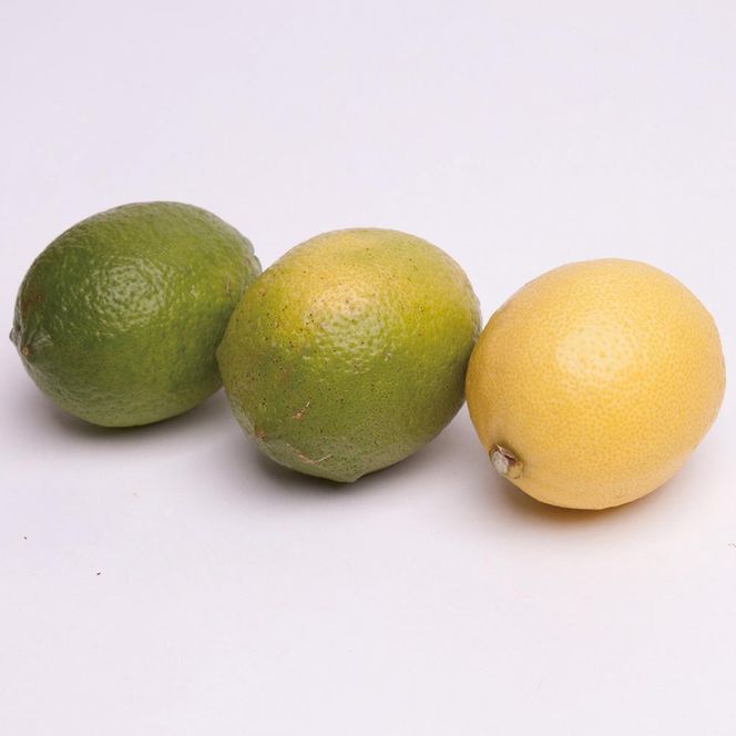 レモン2.5kg+250g（傷み補償分）【和歌山有田産】【防腐剤・WAX不使用、安心の国産レモン】［IKE127］ 303446_BB90062