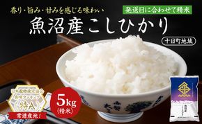 魚沼産こしひかり(十日町地域) 精米 5kg 米 お米 コシヒカリ 十日町市