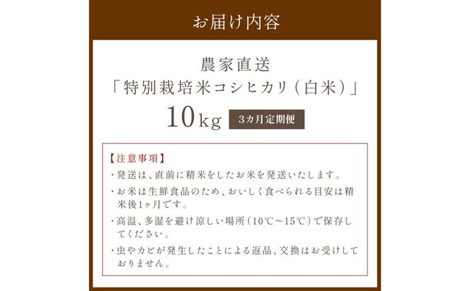【3ヶ月定期便】2026年産 京都・京丹後峰山 特別栽培米コシヒカリ 10kg 【白米】 1等米 検査済証付　お米 精米 お弁当 おにぎり 京都府産 白米 特別栽培 一等米 ふるさと納税 米 定期便 生産者応援 農家応援　MF00085