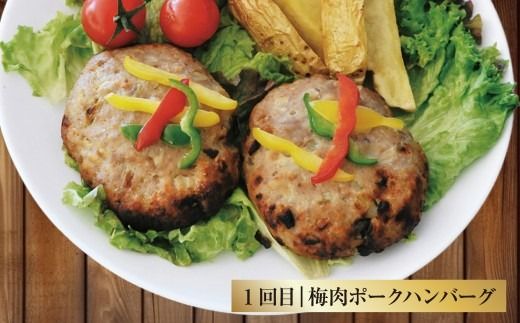 【5回定期便】ご飯の味方定期便 ハンバーグ コロッケ 大砲巻き メンチカツ 定期 定期便 5種 揚げ物 惣菜 おかず 冷凍 国産 九州産 熊本県 上天草市