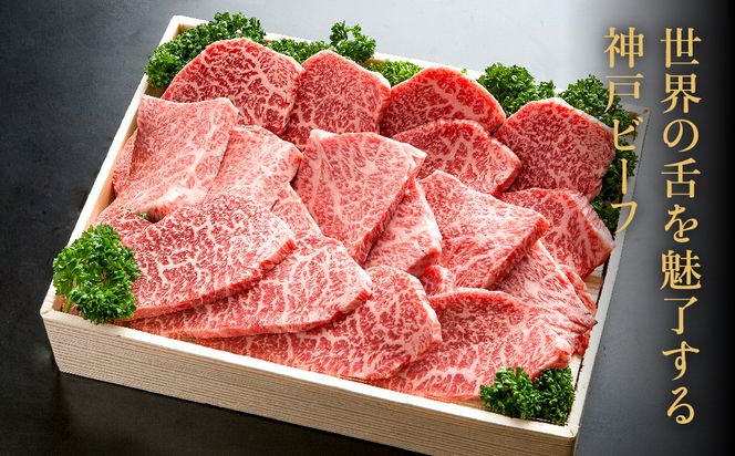 神戸牛 焼肉セット 牛肉 焼肉用 肩 もも 500g / 焼き肉 セット 食べ比べ 牛 肉 霜降り 但馬牛 黒毛和牛 和牛 国産牛 焼肉 やきにく アウトドア キャンプ BBQ 太田牧場 太田牛 神戸ビーフ TYY2 【但馬牛太田家】【2026年4月より順次発送】