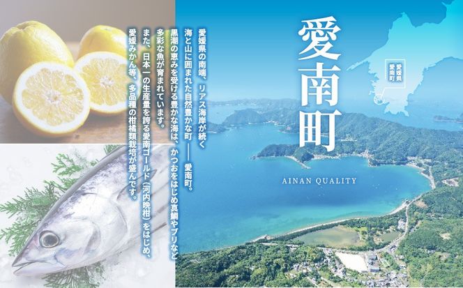 【ふるさと納税】創業100余年 老舗 マルヤス味噌 極甘口 純麦味噌 吟みそ 700g × 4パック 計2.8kg ふるさと納税 人気 おすすめ 希少品 はだか麦 国産 甘口 老舗 発酵食品 愛媛県 愛南町 マルヤス味噌