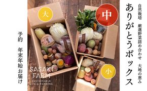 旬の野菜詰め合わせ ～ありがとうBOX2026・中～ 12月1日～1月31日頃お届け 先行予約 北海道 野菜 やさい 詰め合わせ セット 北海道産 常備菜 加工品 自然栽培 佐々木ファーム 産地直送 洞爺湖町