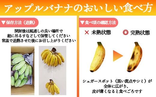 【希少栽培種】あかみね熱帯フルーツのアップルバナナ約3kg - 国産 希少種 フレッシュ 小ぶり 食べやすい おすすめ 沖縄県 八重瀬町