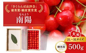 先行受付 北海道 仁木町産 贈答用 さくらんぼ 【 南陽 】 桐箱入 2L～3Lサイズ 500g 果物類 フルーツ チェリー サクランボ  [嶋田茂農園匠]
