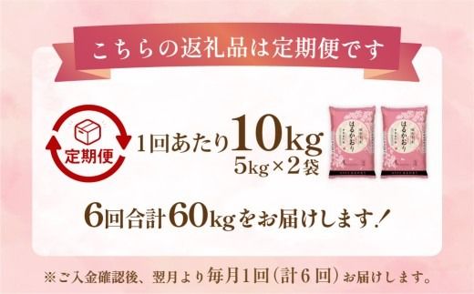 【1ヶ月毎6回定期便】 はるかおり 10kg 計60kg ／ 米 コメ お米 ライス ご飯 ごはん 飯 食品 精米 定期便 常温 福岡県 香春町