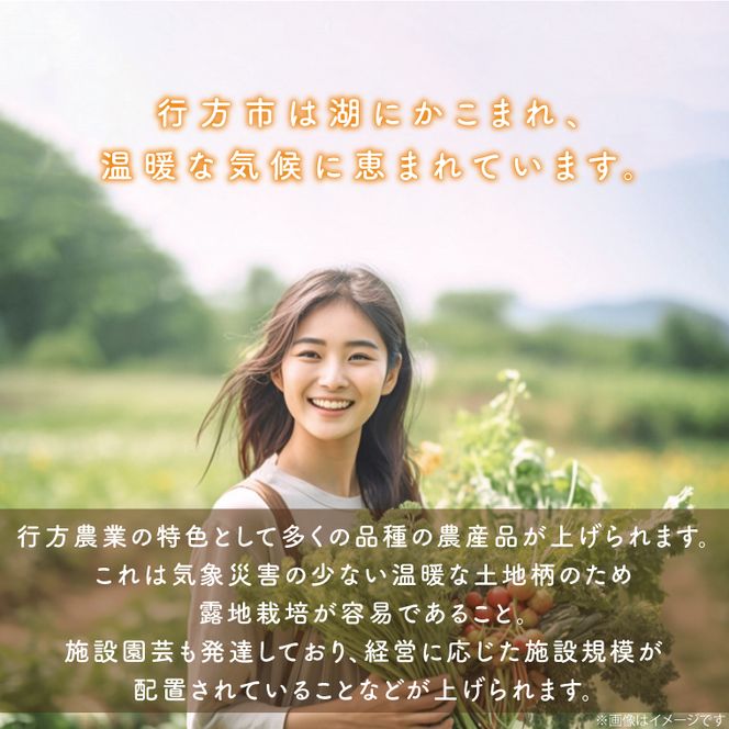 野菜王国なめがたの旬野菜便(米 5kg入り)｜野菜 やさい 米 お米 旬 野菜セット セット 茨城県 行方市(CU-135)