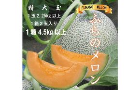 2026年夏発送【先行受付】 ふらのメロン 赤肉 特大玉2玉 計4.5kg以上 富良野メロン 赤肉 めろん 北海道 甘い 大きい 果物 フルーツ