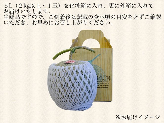 【期間限定】【数量限定】磐梯町産 赤肉メロン 『マリアージュ』 1 玉 5L サイズ　※8月10日以降順次発送