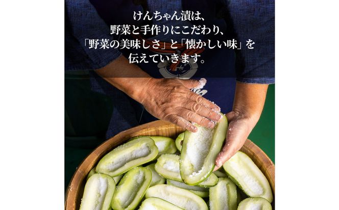 けんちゃん漬彩り8品セット 322032_BS009