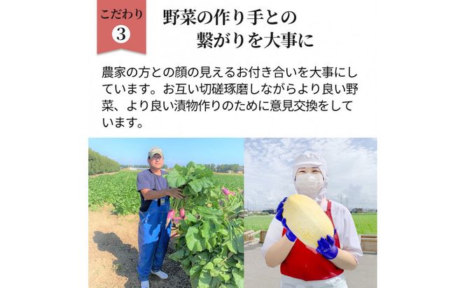 けんちゃん漬彩り8品セット 322032_BS009