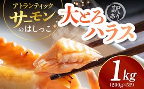 099H5085 訳あり 総量1kg! アトランティックサーモンの大とろハラス 200g×5P 小分け 鮭ハラス 腹ヒレ肉 昆布塩加工 はしっこ