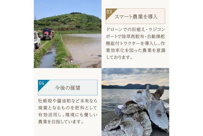 【3回定期便】【京丹後産】にじのきらめき10kg （2026年10月上旬～発送） 特別栽培米 にじのきらめき お米 京丹後産 京丹後 丹後 ごはん ふるさと納税 米　KO00051