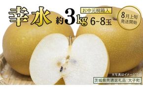 【 お中元 桐箱入り 】 幸水 約3kg (6～8玉)【2026年8月上旬発送開始】(茨城県共通返礼品：大子町) 梨 なし 果物 くだもの フルーツ