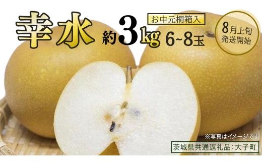 【 お中元 桐箱入り 】 幸水 約3kg (6～8玉)【2026年8月上旬発送開始】(茨城県共通返礼品：大子町) 梨 なし 果物 くだもの フルーツ