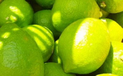 国産 農家直送 紀州レモン 約3kg サイズ混合 ［MS122］ 303446_XD90103