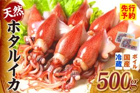 《先行予約》 ボイル ホタルイカ 小分け 250g×2パック 500g 酢味噌付 冷蔵 【令和9年3月以降発送予定】 ほたるいか いか イカ 烏賊 茹で しゃぶしゃぶ 国産 兵庫県産 鮮度抜群 新鮮 おすすめ ふるさと納税 返礼品 兵庫県 香美町 香住 モリタ食品 10-13