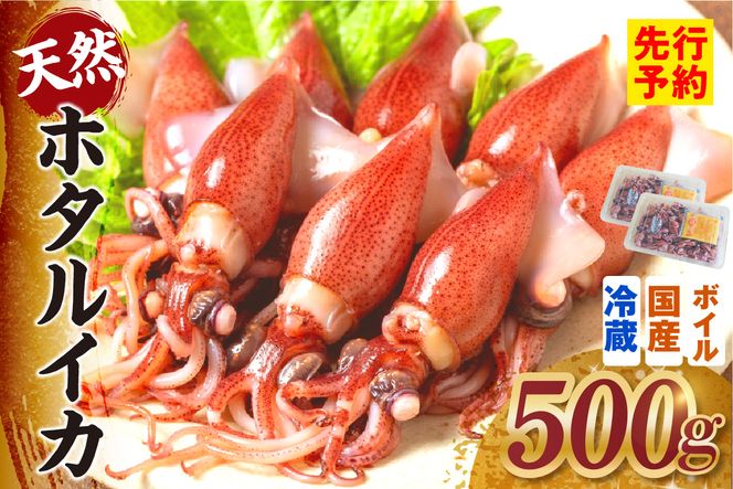 《先行予約》 ボイル ホタルイカ 小分け 250g×2パック 500g 酢味噌付 冷蔵 【令和9年3月以降発送予定】 ほたるいか いか イカ 烏賊 茹で しゃぶしゃぶ 国産 兵庫県産 鮮度抜群 新鮮 おすすめ ふるさと納税 返礼品 兵庫県 香美町 香住 モリタ食品 10-13