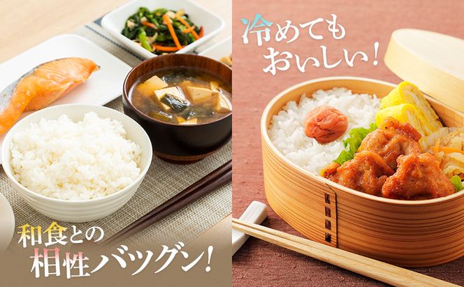 R7年産 米 コシヒカリ 10kg 産地直送 一等米 特A 特A米 お米 白米 精米 新米 ご飯 10キロ おこめ こめ コメ ごはん こしひかり 福井県 福井 若狭町 若狭 送料無料