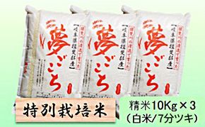 【令和7年産】特別栽培米 30kg【白米、7分ツキ】（夢ごこち）