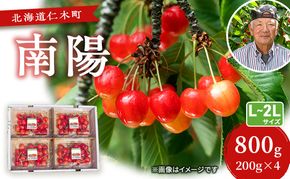 先行受付 さくらんぼ【 南陽 】800g（200g×4）L-LLサイズ混合  サクランボ チェリー フルーツ 果物 果物類 ギフト 北海道 仁木町 仁木 [横山農園]