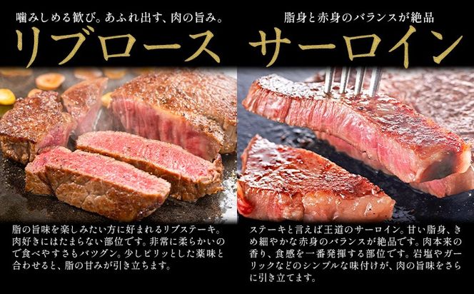 岡山県産牛 ステーキ サーロイン or リブ 交雑牛 選べる 250g 500g 1kg お試し 大容量《60日以内に出荷予定(土日祝除く)》 岡山県 矢掛町 肉 ステーキ 高級部位 希少部位 グルメ お取り寄せグルメ---ofn_fokf1stk_60d_26_9000_25---