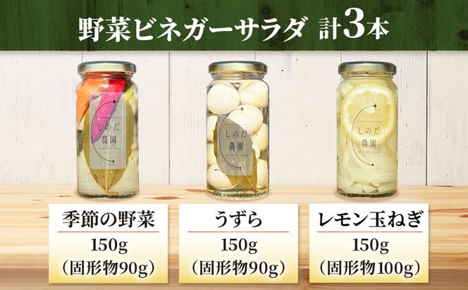 野菜ビネガーサラダ 3本（うずら・季節の野菜・レモン玉ねぎ） ビネガーサラダ 常備菜 おかず 愛西市 / しのだ農園-SHINODA FARM-[AECE009]