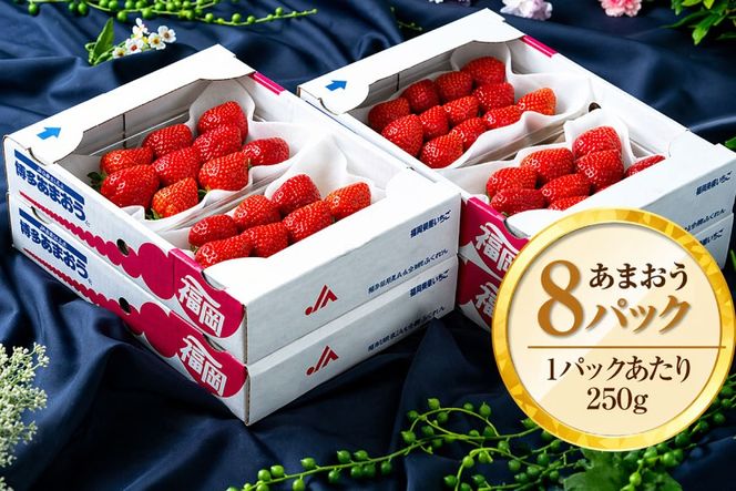 いちご あまおう 福岡産 春 8パック 【期間限定発送】 [南国フルーツ 福岡県 宇美町 um40azo970042] 先行予約 イチゴ 苺 フルーツ 果物 果実 甘い 小分け あまい